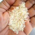 50kg-parboiled-rice